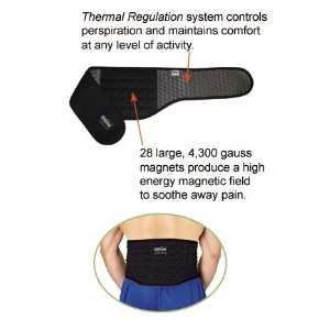  Lower Back Support Magnetic Back Brace   Balance Health 