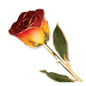  Long Stem Dipped 24K Gold Trim Yellow Red Genuine Rose w 