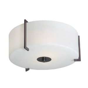  Eglo 20462A Viterbo 2 Light Flush Mount in Oil Rubbed 