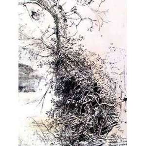  Tree with Brambles Eustache Le Sueur. 14.00 inches by 18 