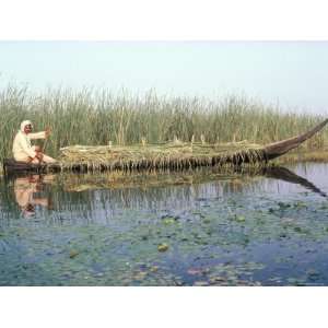 Man Gathering Reeds, Mashuf Boat, Marshes, Iraq, Middle East Stretched 