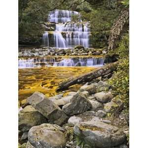 Liffey Falls, UNESCO World Heritage Site, Tasmania, Australia, Pacific 