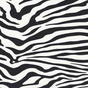  Animal Magnetism Black and White Wallpaper in Risky 