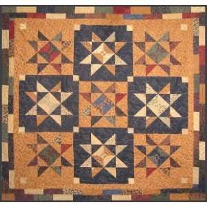  Quilting Star Struck Pattern by Cozy Quilt Designs Arts 