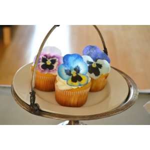 Edible Pansies   Pink, Purple, and Blue Set of 12   Cake and Cupcake 