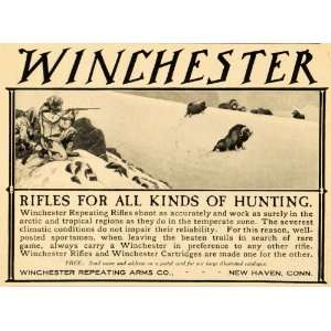 1905 Ad Winchester Hunting Repeating Rifle Buffalo Snow 