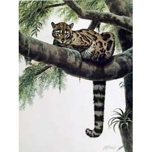  Guy Coheleach   Clouded Leopard