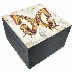  Stunning Swallowtail Butterfly Trinket / Jewelry Box