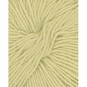   Cashmere Merino Silk Aran Yarn 127 Chicory Arts, Crafts & Sewing