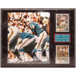  NFL Dolphins Bob Griese 12 by 15 Two Card Plaque Sports 