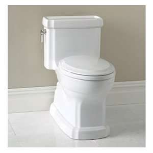  Eco Guinevere One Piece Toilet