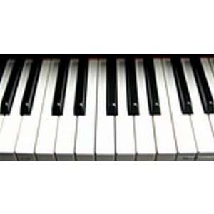 Piano Keyboard License Plates Tags Plate Tag Tags Plates Tag Tags 