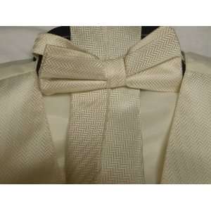   Set with Bow Tie,tie and Hankerchief for Suit and Tuxedo ivory small