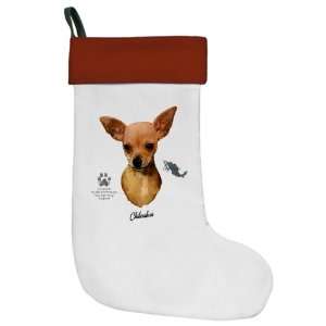   Stocking Chihuahua from Toy Group and Mexico 
