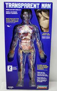 Transparent Man Human Anatomy Model Kit by Lindberg 76009 NEW  