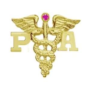  NursingPin   Physician Assistant PA Lapel Pin with Ruby in 