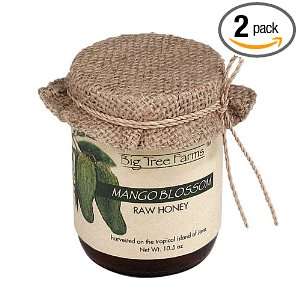 Big Tree Farms Mango Blossom Honey, 10.5 Ounce Jars (Pack of 2 