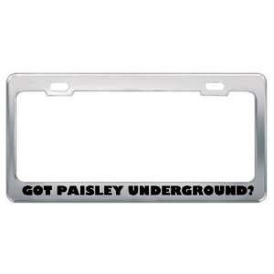 Got Paisley Underground? Music Musical Instrument Metal License Plate 