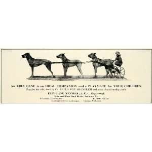 1930 Ad Erin Great Dane Kennels Pets Children Sled Dog Breeders Robert 