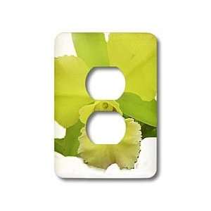 Florene Flowers   Lemony Orchid   Light Switch Covers   2 plug outlet 