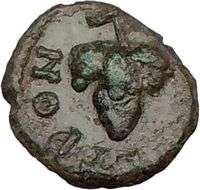   ISTRUM Roman Senate Dionysus Grapes Rare Authentic Ancient Coin  