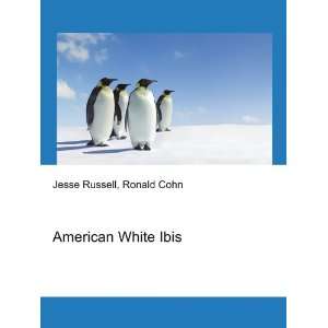  American White Ibis Ronald Cohn Jesse Russell Books