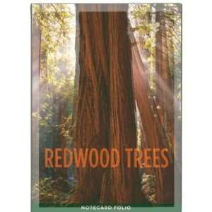  National Parks Redwood Notecard Set 