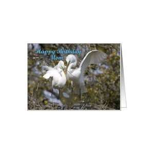  Mom birthday, Egrets Nest Building Card Health & Personal 