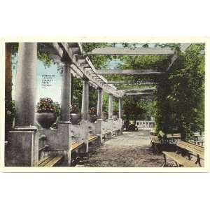  1910 Vintage Postcard   Pompeian Garden in Bradley Park 
