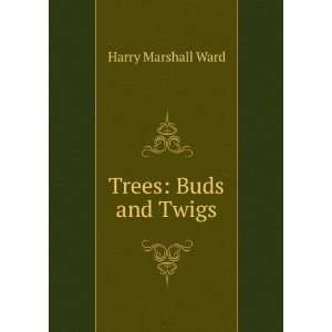  Trees Buds and Twigs Harry Marshall Ward Books