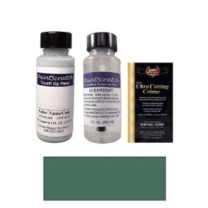   Oz. Mineral Paint Bottle Kit for 2001 Nissan Xterra (TV4) Automotive