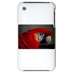  iPhone 3G Hard Case Scarlet Macaw   Bird 