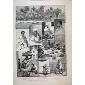   1889 Provincs Brazil Alagoas Gala Dress Fruit Sellers
