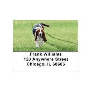 Basset Hounds Address Labels