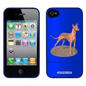  Pharaoh Hound on AT&T iPhone 4 Case by Coveroo  