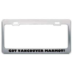 Got Vancouver Marmot? Animals Pets Metal License Plate Frame Holder 