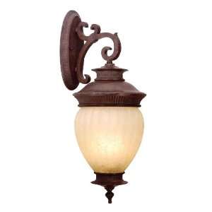  International 7816 20 Townhouse Outdoor Sconce, Distressed 