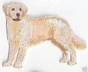 Golden Retriever Dog Breed Embroidery Patch Applique  