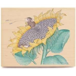  Eatin & Sleepin In A Sunflower   Rubber Stamps