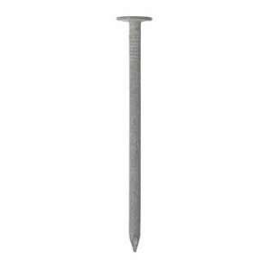   Ace Hot Galvanized Roofing Nails (5415161)