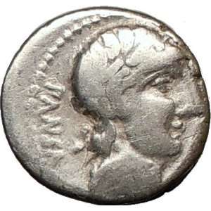 Roman Republic C. Vibius C. f. Pansa 90BC APOLLO MINERVA HORSE Silver 