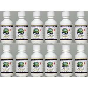 LB EXTRACT, Liquid Herbs, Herbal Laxative, KOSHER (Pack of 12) 2 FL OZ 