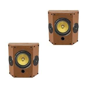   SELECT Certified C Audiovideo Dipole Speakers   Cherry Electronics