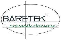 New Baretek English Horse Saddle Bareback Pad Natural Horsemanship 