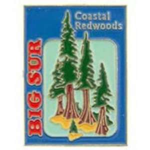  Big Sur Redwoods Pin 1 Arts, Crafts & Sewing