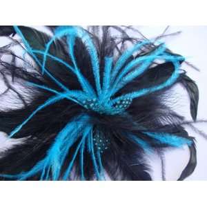   NEW Large Turquoise Blue and Black Feather Hair Clip, Limited. Beauty