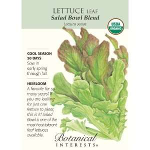    Lettuce Leaf Salad Bowl Blend Organic Patio, Lawn & Garden