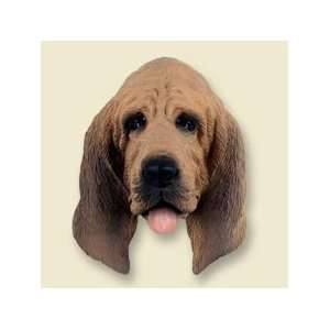  Bloodhound Doogie Head 