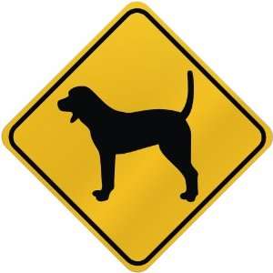  ONLY  BLUETICK COONHOUND  CROSSING SIGN DOG