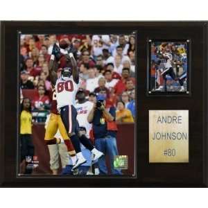  Houston Texans Andre Johnson 12x15 Player Plaque Sports 